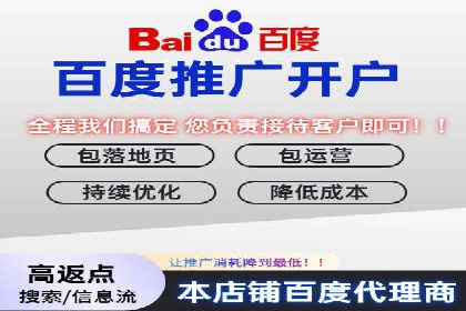 成功SEM托管案例解析